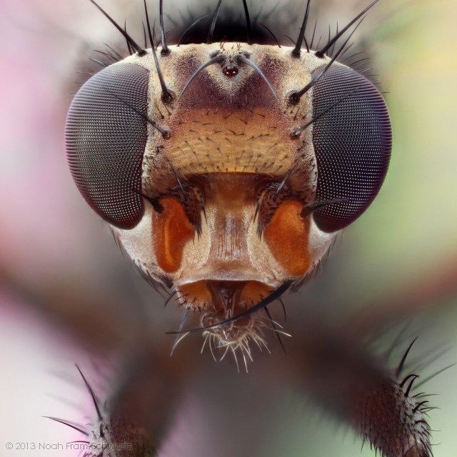 2013-04-05-15.40.55 ZS retouched_9 copy