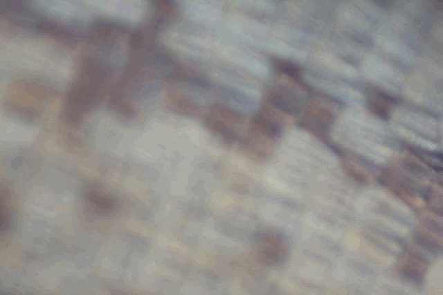 focus_stack_animation-Nmacro_Blog